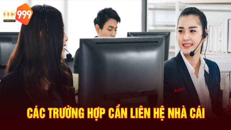 Liên hệ DF999