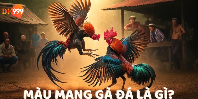 màu mạng đá gà